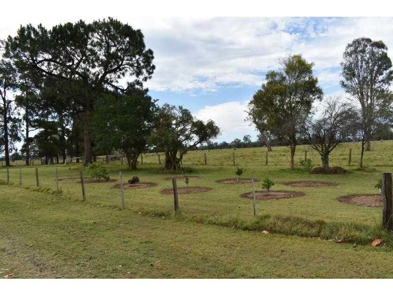 240 Mongogarie Road, Via Casino, Leeville NSW 2470