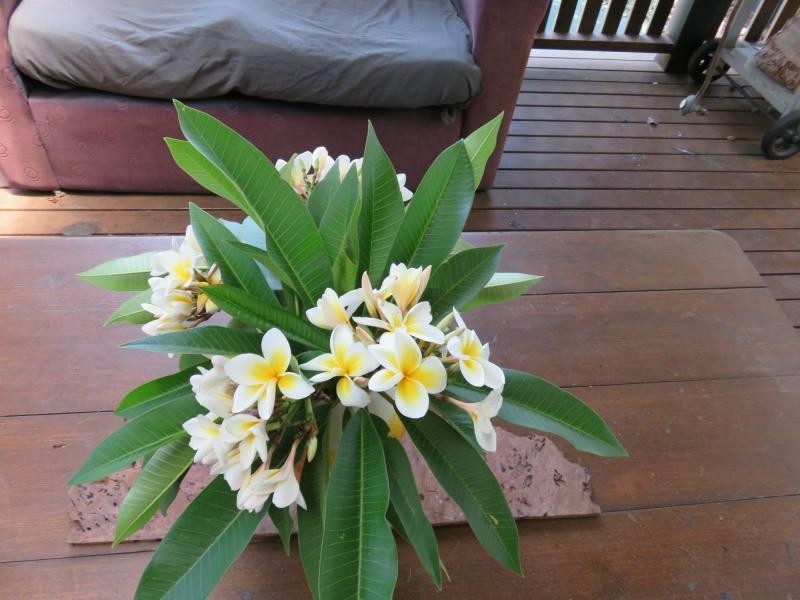 107 Crown Street, South Lismore NSW 2480