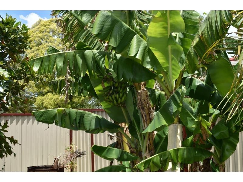 4 Jersey Street, Casino NSW 2470