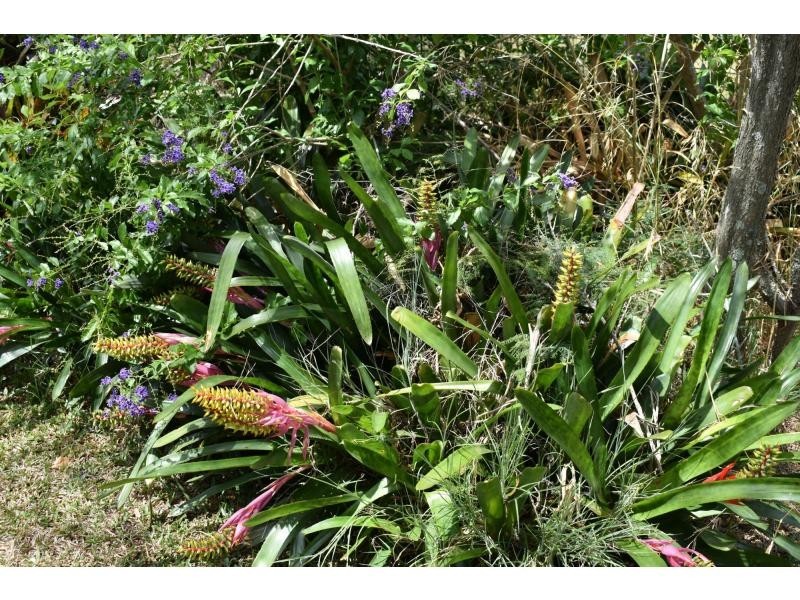 4 Jersey Street, Casino NSW 2470