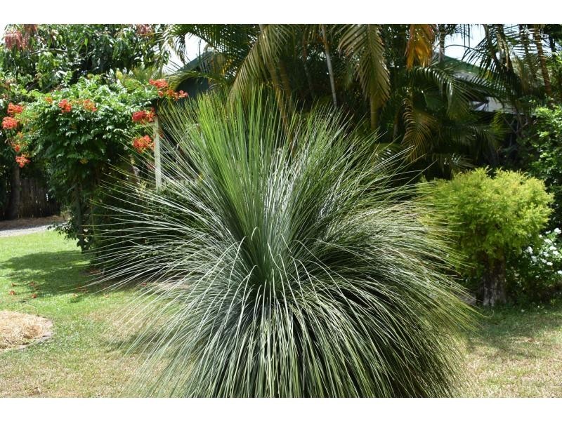 4 Jersey Street, Casino NSW 2470