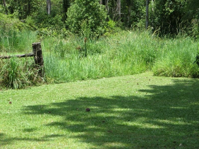 12 Lyons St , Via Casino / Lismore, Rappville NSW 2469