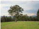 Lot 15 Yabbra Road, Bonalbo NSW 2469