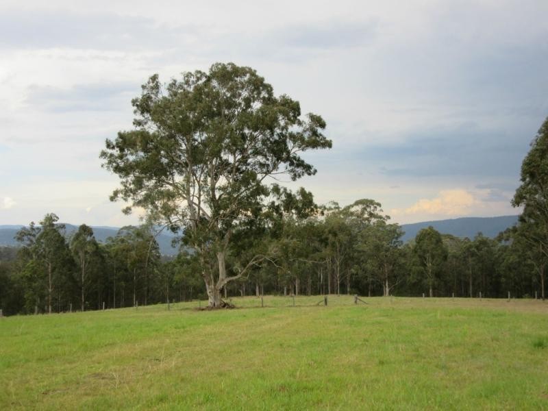 Lot 15 Yabbra Road, Bonalbo NSW 2469