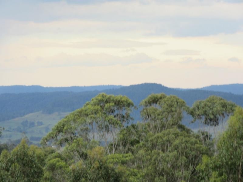 Lot 15 Yabbra Road, Bonalbo NSW 2469