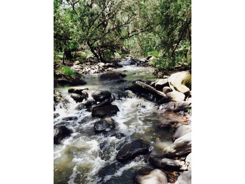 Lot 15 Yabbra Road, Bonalbo NSW 2469