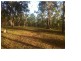 Lot 15 Yabbra Road, Bonalbo NSW 2469