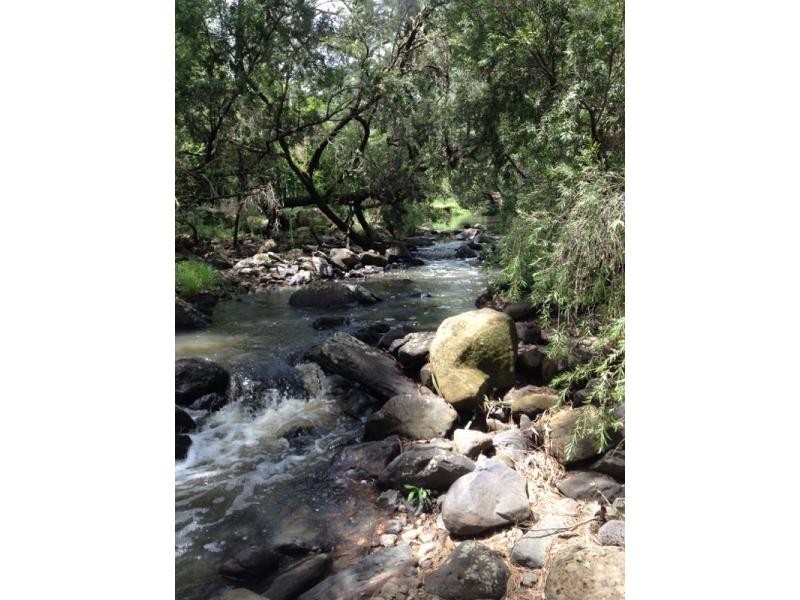 Lot 15 Yabbra Road, Bonalbo NSW 2469