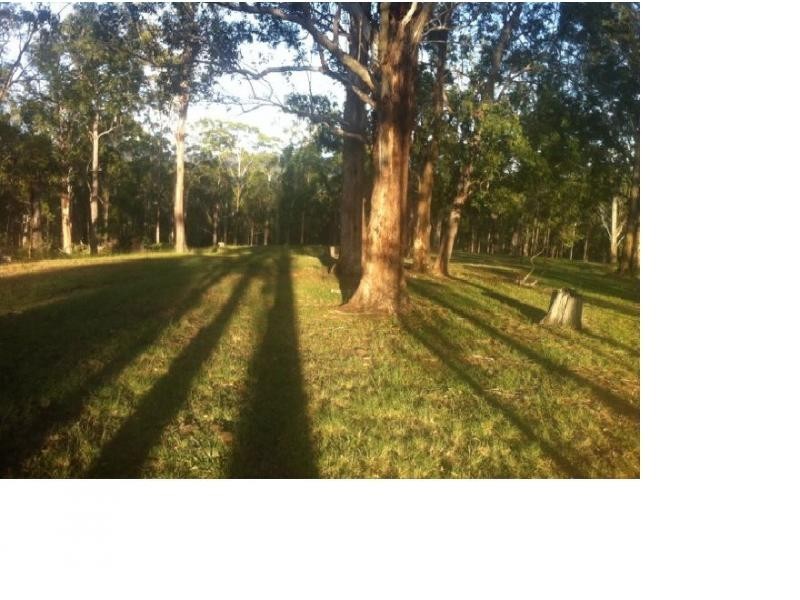 Lot 15 Yabbra Road, Bonalbo NSW 2469