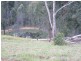 Lot 15 Yabbra Road, Bonalbo NSW 2469