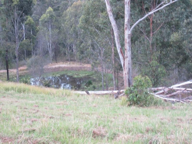 Lot 15 Yabbra Road, Bonalbo NSW 2469