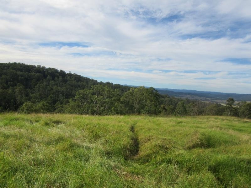 Lot 15 Yabbra Road, Bonalbo NSW 2469