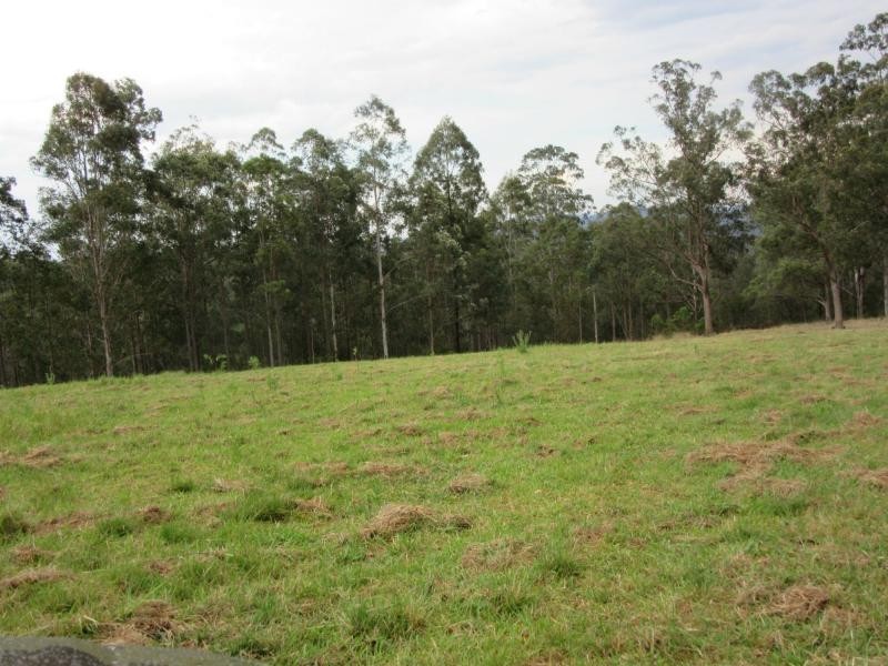 Lot 15 Yabbra Road, Bonalbo NSW 2469