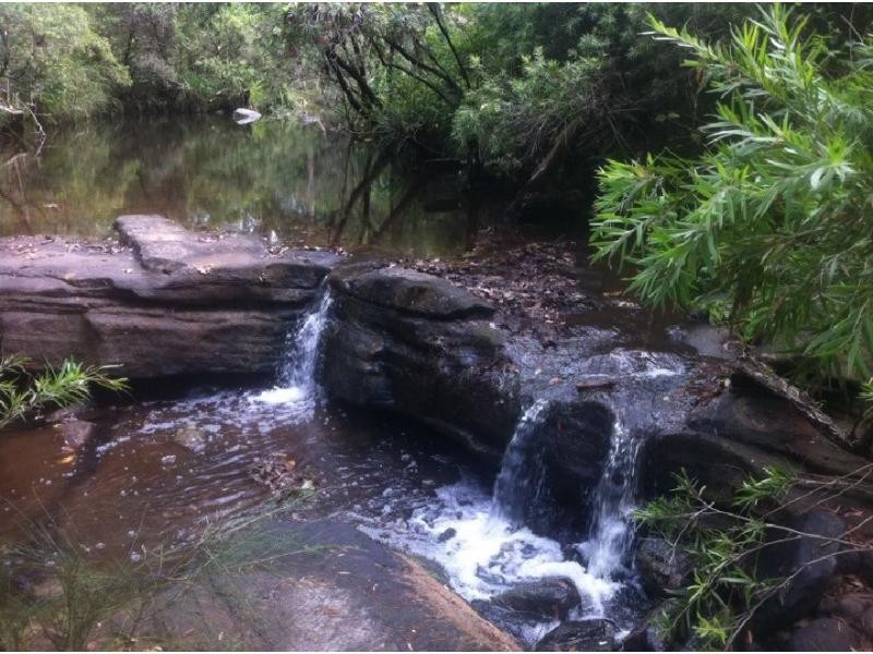 Lot 15 Yabbra Road, Bonalbo NSW 2469