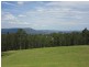 616 Yabbra Road, Bonalbo NSW 2469