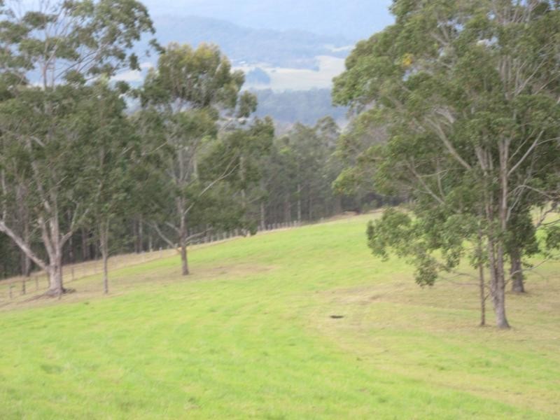 616 Yabbra Road, Bonalbo NSW 2469