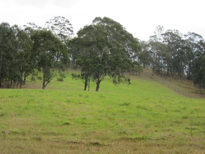 616 Yabbra Road, Bonalbo NSW 2469