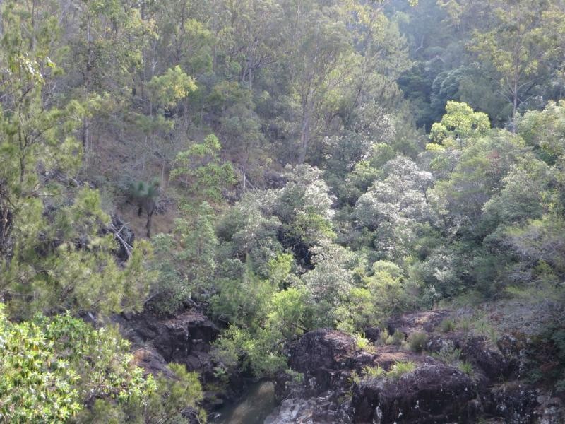 171 Mud Flat Rd St, Drake NSW 2469