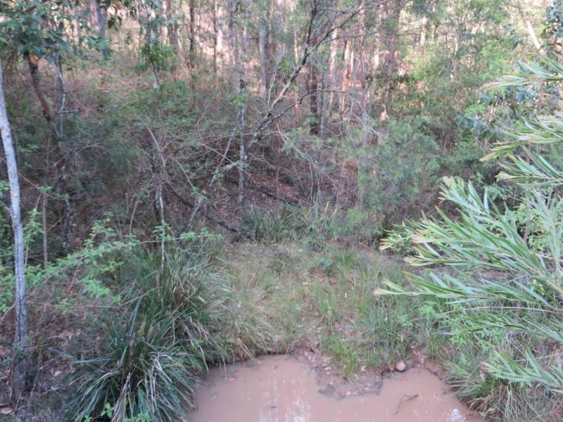 171 Mud Flat Rd St, Drake NSW 2469