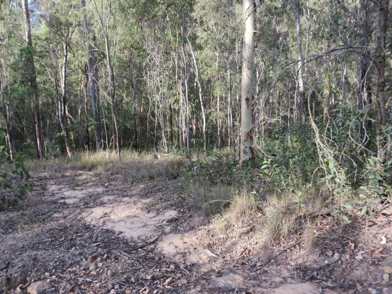 171 Mud Flat Rd St, Drake NSW 2469