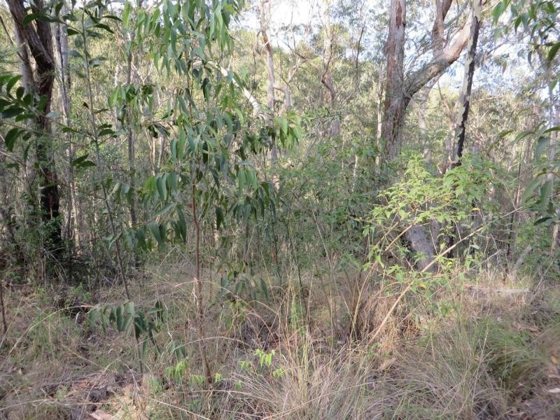 171 Mud Flat Rd St, Drake NSW 2469