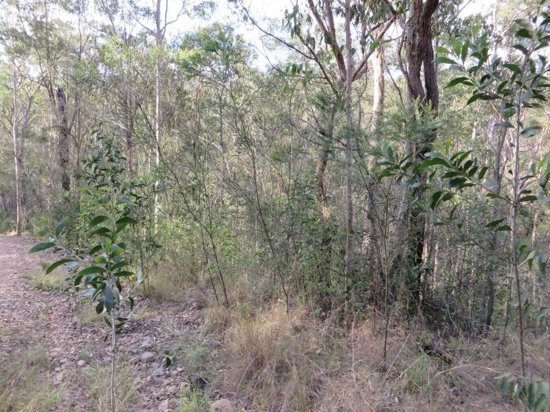 171 Mud Flat Rd St, Drake NSW 2469