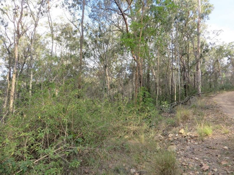 171 Mud Flat Rd St, Drake NSW 2469