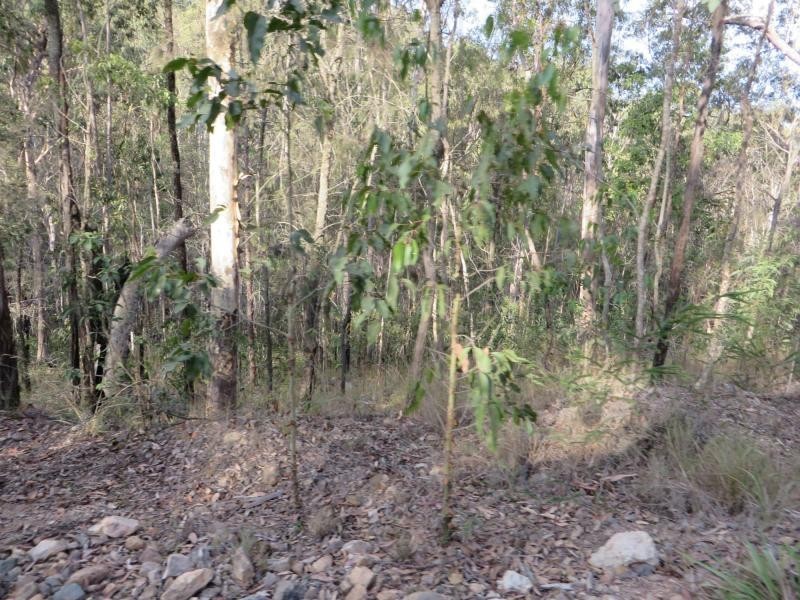 171 Mud Flat Rd St, Drake NSW 2469