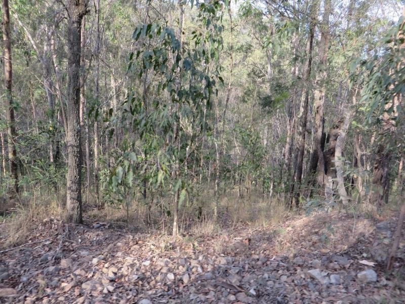 171 Mud Flat Rd St, Drake NSW 2469