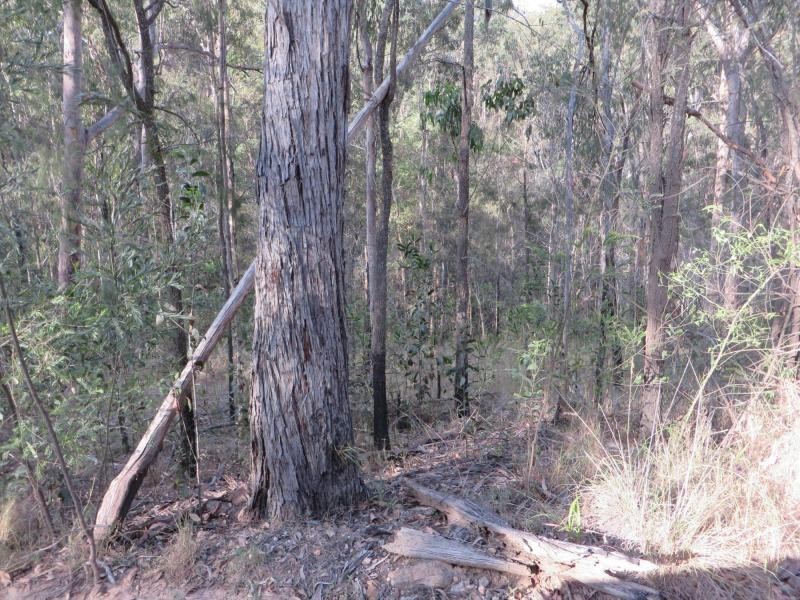 171 Mud Flat Rd St, Drake NSW 2469