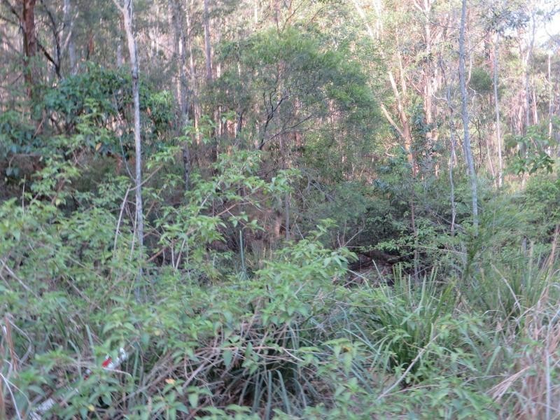 171 Mud Flat Rd St, Drake NSW 2469