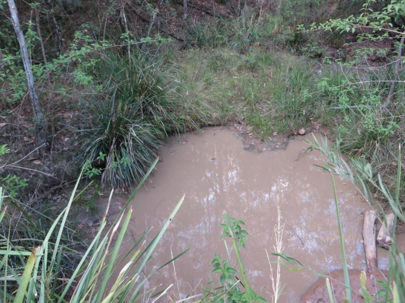 171 Mud Flat Rd St, Drake NSW 2469