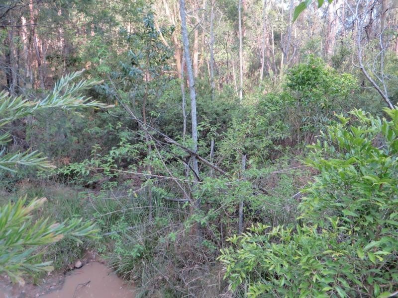 171 Mud Flat Rd St, Drake NSW 2469