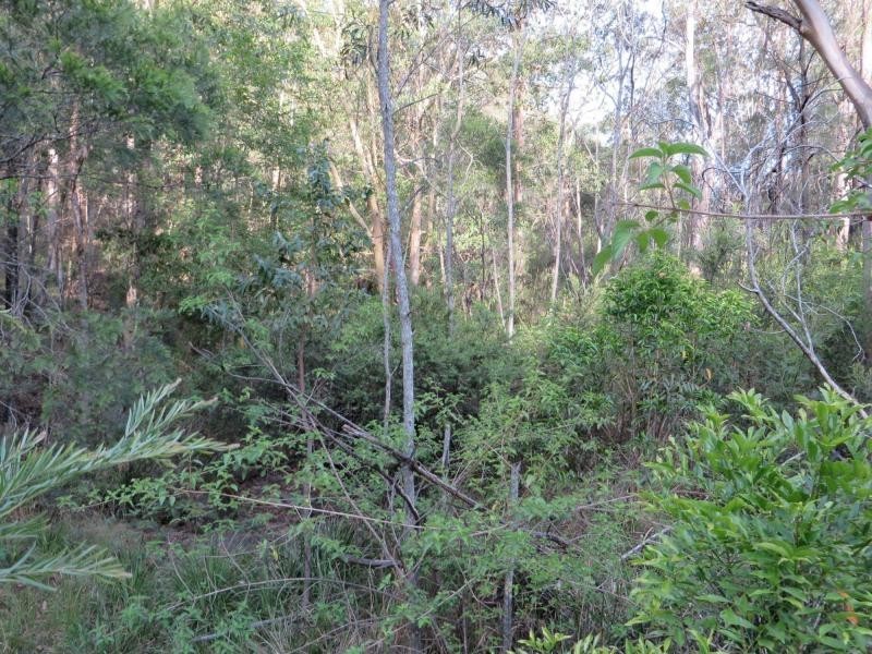 171 Mud Flat Rd St, Drake NSW 2469