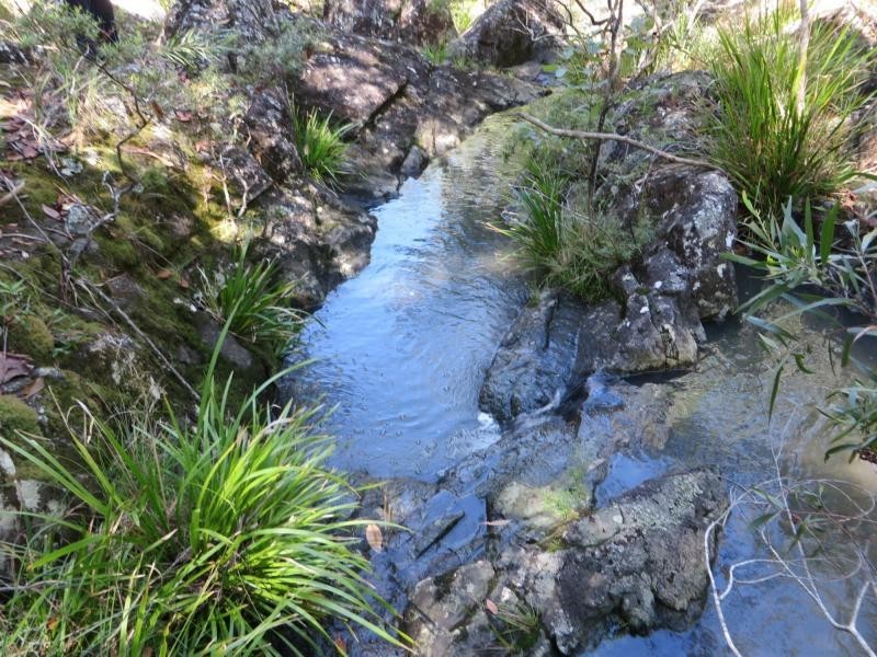 L4 Mud Flat Rd, Drake NSW 2469