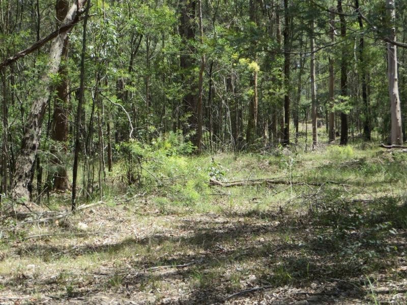 L4 Mud Flat Rd, Drake NSW 2469