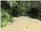L4 Mud Flat Rd, Drake NSW 2469