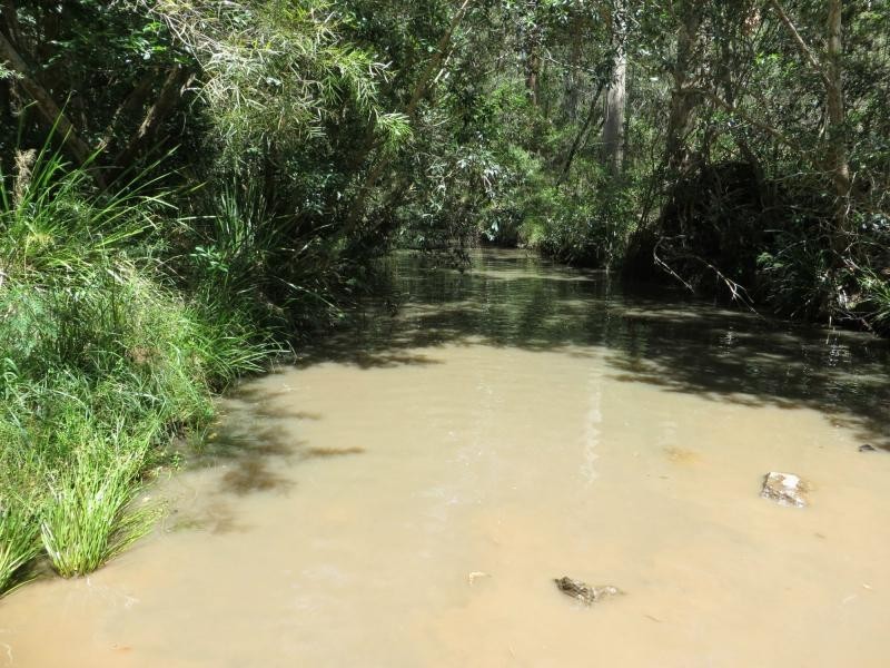 L4 Mud Flat Rd, Drake NSW 2469