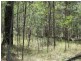 L4 Mud Flat Rd, Drake NSW 2469