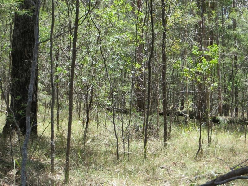 L4 Mud Flat Rd, Drake NSW 2469