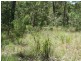 L4 Mud Flat Rd, Drake NSW 2469