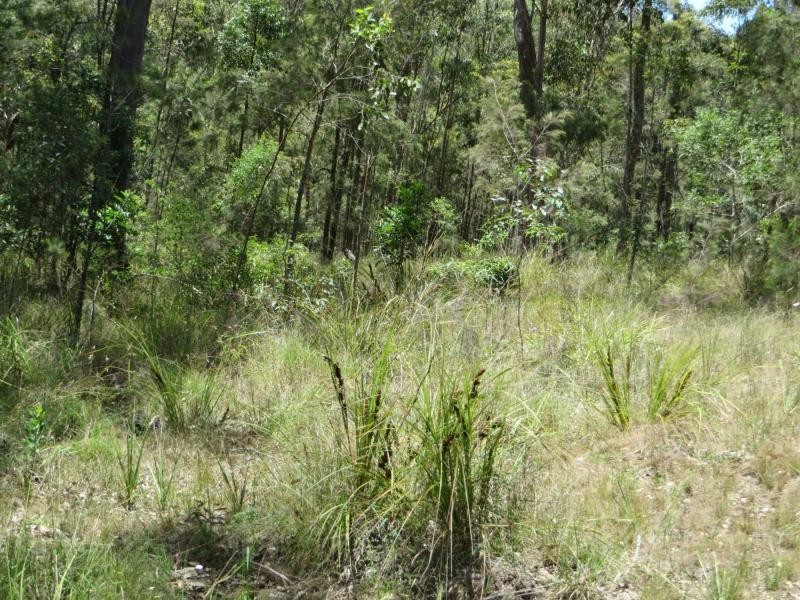 L4 Mud Flat Rd, Drake NSW 2469