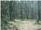 L4 Mud Flat Rd, Drake NSW 2469