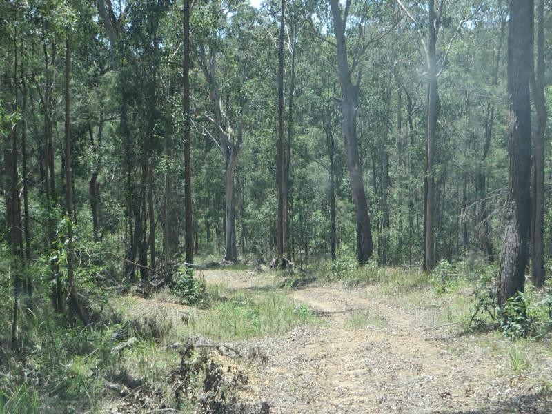 L4 Mud Flat Rd, Drake NSW 2469