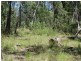 L4 Mud Flat Rd, Drake NSW 2469