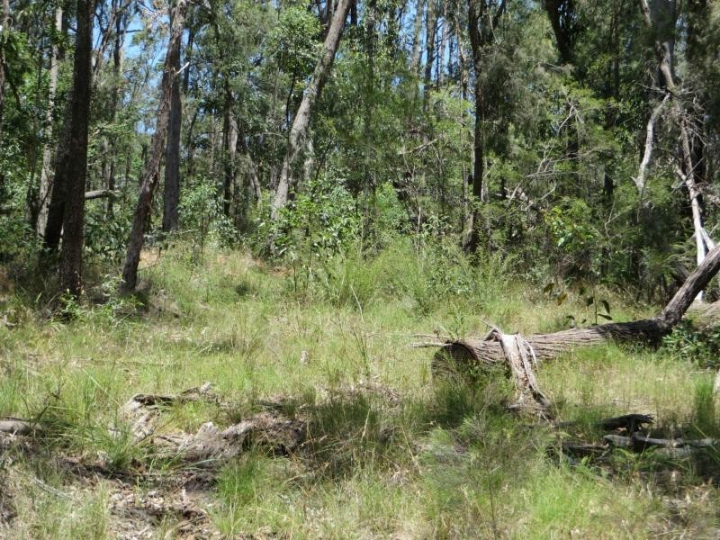 L4 Mud Flat Rd, Drake NSW 2469
