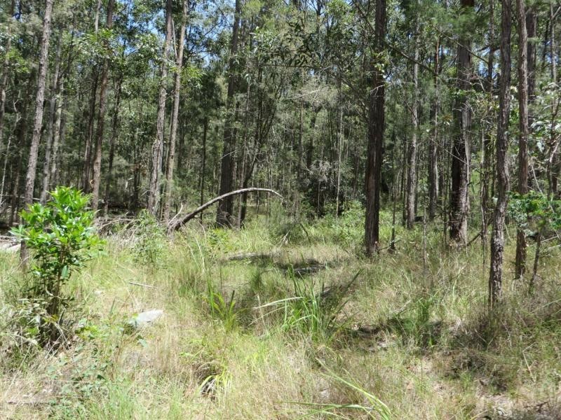 L4 Mud Flat Rd, Drake NSW 2469