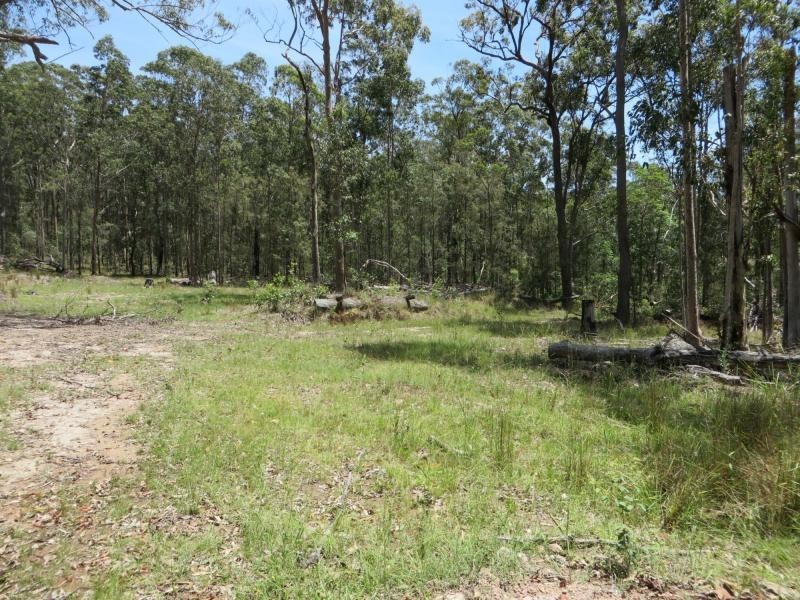 L4 Mud Flat Rd, Drake NSW 2469