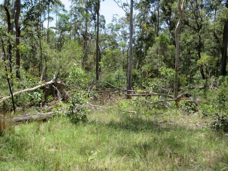 L4 Mud Flat Rd, Drake NSW 2469