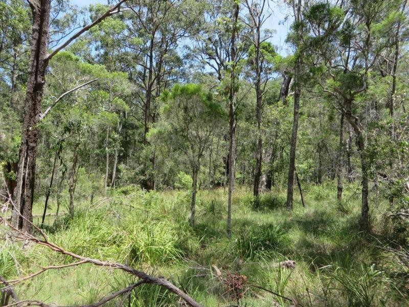 L4 Mud Flat Rd, Drake NSW 2469